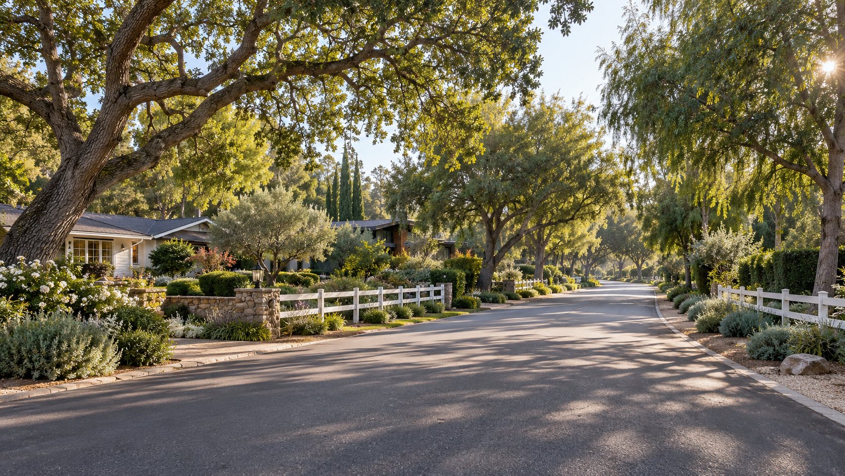 Quiet tree-lined residential street with white rail fencing